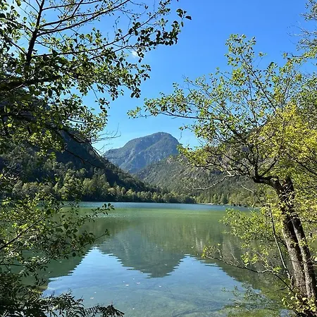 Alpenblick Romi * Inzell